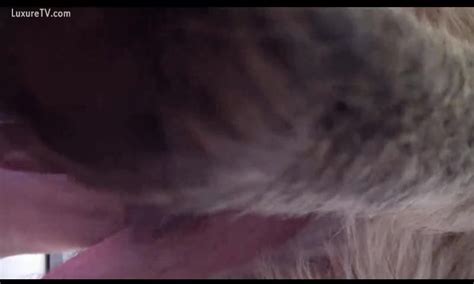 Horny homo dude lets dog fuck him in the butt