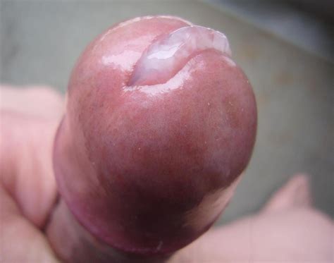 Images showing for free -Close up cock ejaculating Images showing for free Close up cock ejaculating