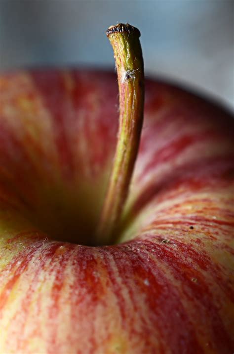 Apple Close Up [EXPLORED} | Using Nikon 50mm 1.8 and a ...