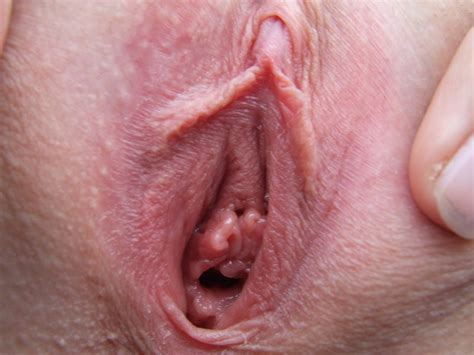 Close Up Pic Of A Vagina image #43510