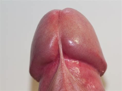 Close up pics of dicks porn - Full movie