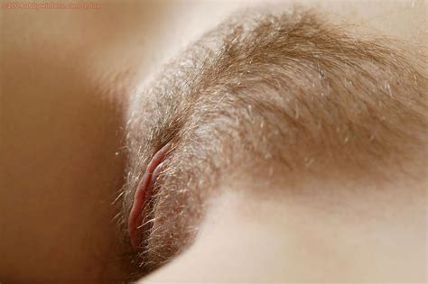 trimmed pussy bush - XXGASM trimmed pussy bush XXGASM