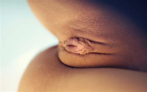 Wallpaper megan salinas, teen, brunette, french, big tits ... Wallpaper megan salinas, teen, brunette, french, big tits