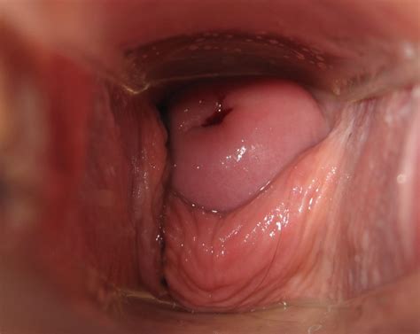 Penis sperm inside a vagina close up - Ehotpics.com