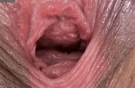 gif asshole orgasm contractions tumblr - XXGASM