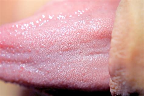 Curious Kids: how do tongues taste food?