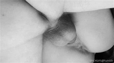 Pussy in motion gif - Sex photo Pussy in motion gif Sex photo