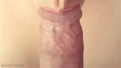 closeup blowjob gif - Best sex gif and picture
