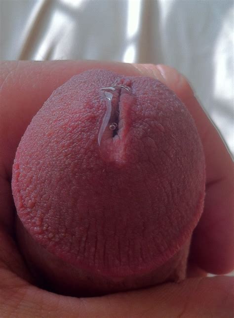 Precum Oozing Glans Close Up Pics