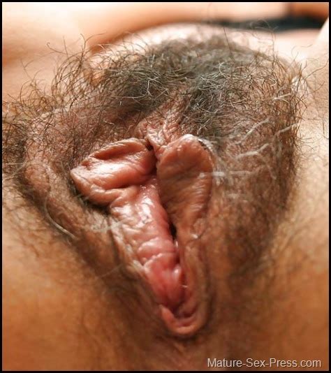 Hirsute Wet MILF Pussy Close Up - Mature-Sex-Press Hirsute Wet MILF Pussy Close Up