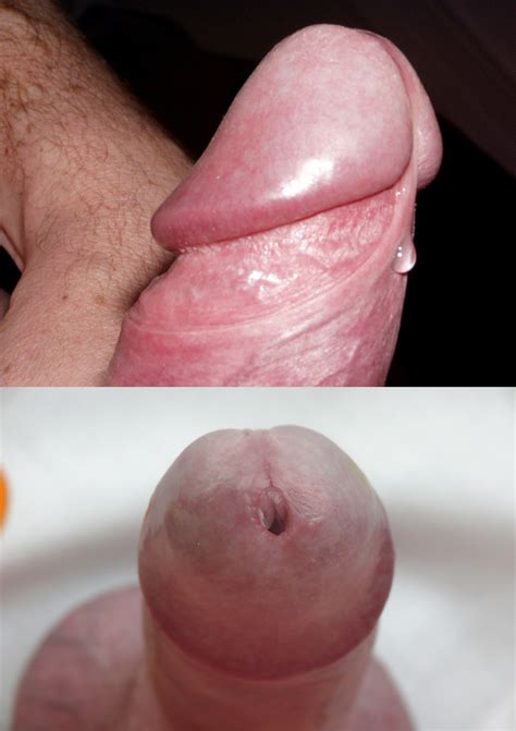 Ejaculation Close Ups In Porn