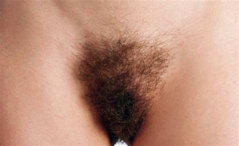 Italian Promotional Calendar Just Close Ups Of Hairy Pussies Italian Promotional Calendar Just Close Ups Of Hairy Pussies