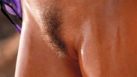 Wallpaper kyla cole, kyla, cole, hairy, pussy, hair, nude ... Wallpaper kyla cole, kyla, cole, hairy, pussy, hair, nude