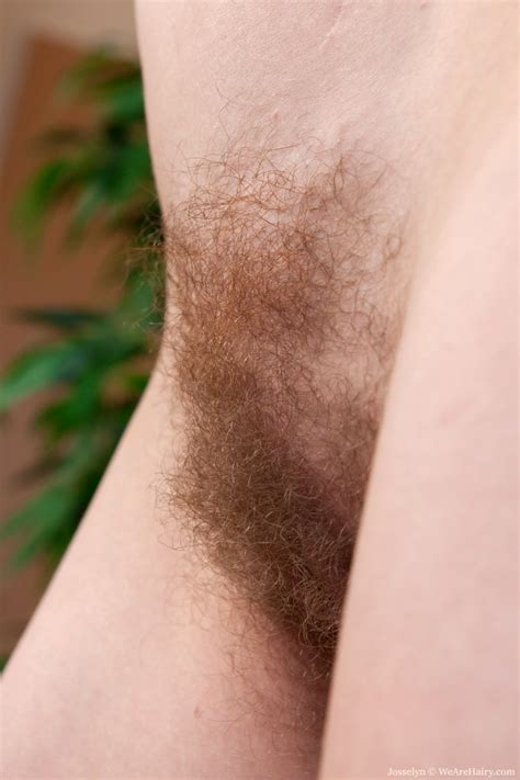 Babe Today We Are Hairy Wearehairy Model Popular Closeup ... Babe Today We Are Hairy Wearehairy Model Popular Closeup