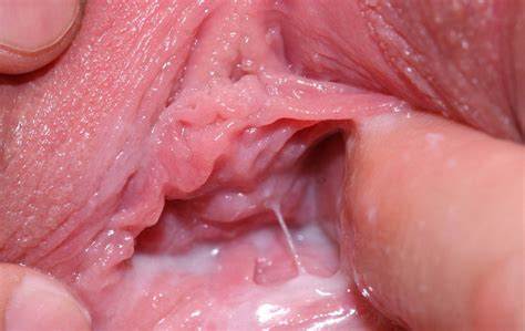 Eating Pussy Closeup 26683 | closeup closeup creampie close
