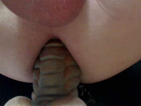 Husband rides on my bad dragon dildos very closeup amateur ...