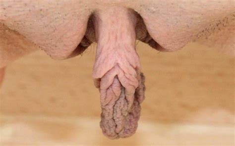 Incredible Sex Pussy Close Up Clitoris Fuck With - Free ... Incredible Sex Pussy Close Up Clitoris Fuck With Free
