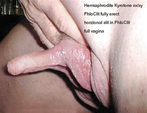 Hermaphrodite huge clit - Picsninja.com