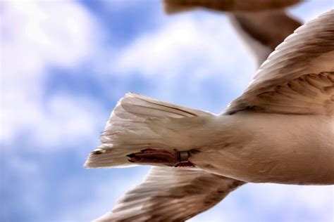 Nicki Minaj Feet Pictures - Office Girls Wallpaper