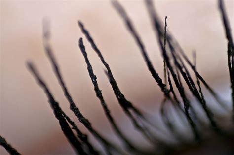 Eco Yogini: Plastic-Free Eco Mascara: TWINK!