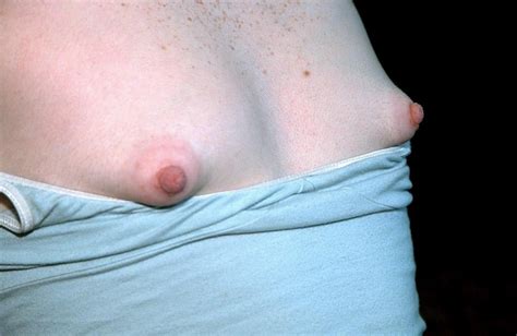Puffy Nipple Gallery