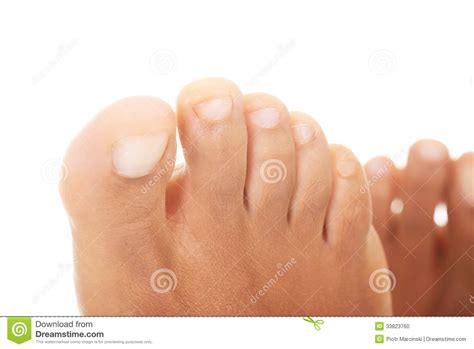 Beautiful Female Feet - Close Up On Toes Stock Photo ...