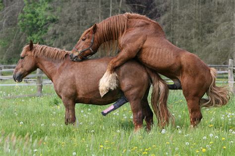 Gay Som - Sex Nude Celeb